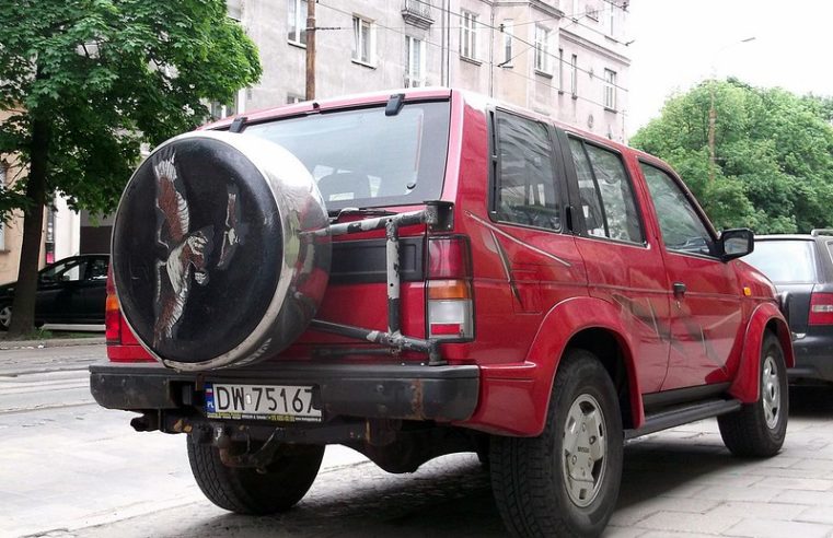 Das Verfahren gegen den Teenager gestoppt, der auf das Auto geschlagen hatte, nachdem es seinen Hund überfahren hatte