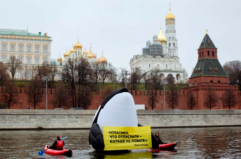 Die Polizei verhaftete Greenpeace-Aktivisten und Novaya Gazeta-Journalistin in Moskau