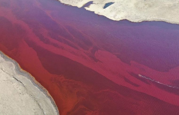 Disastrous oil products spill in the Russian Arctic: proof that the green economy for Russia is needed