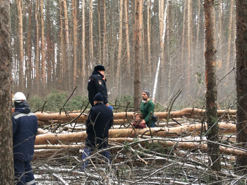 Более четырех сотен экоактивистов пострадали от преследований в 2020 году за защиту природы и экоправ — предварительные итоги года и обзор ноября