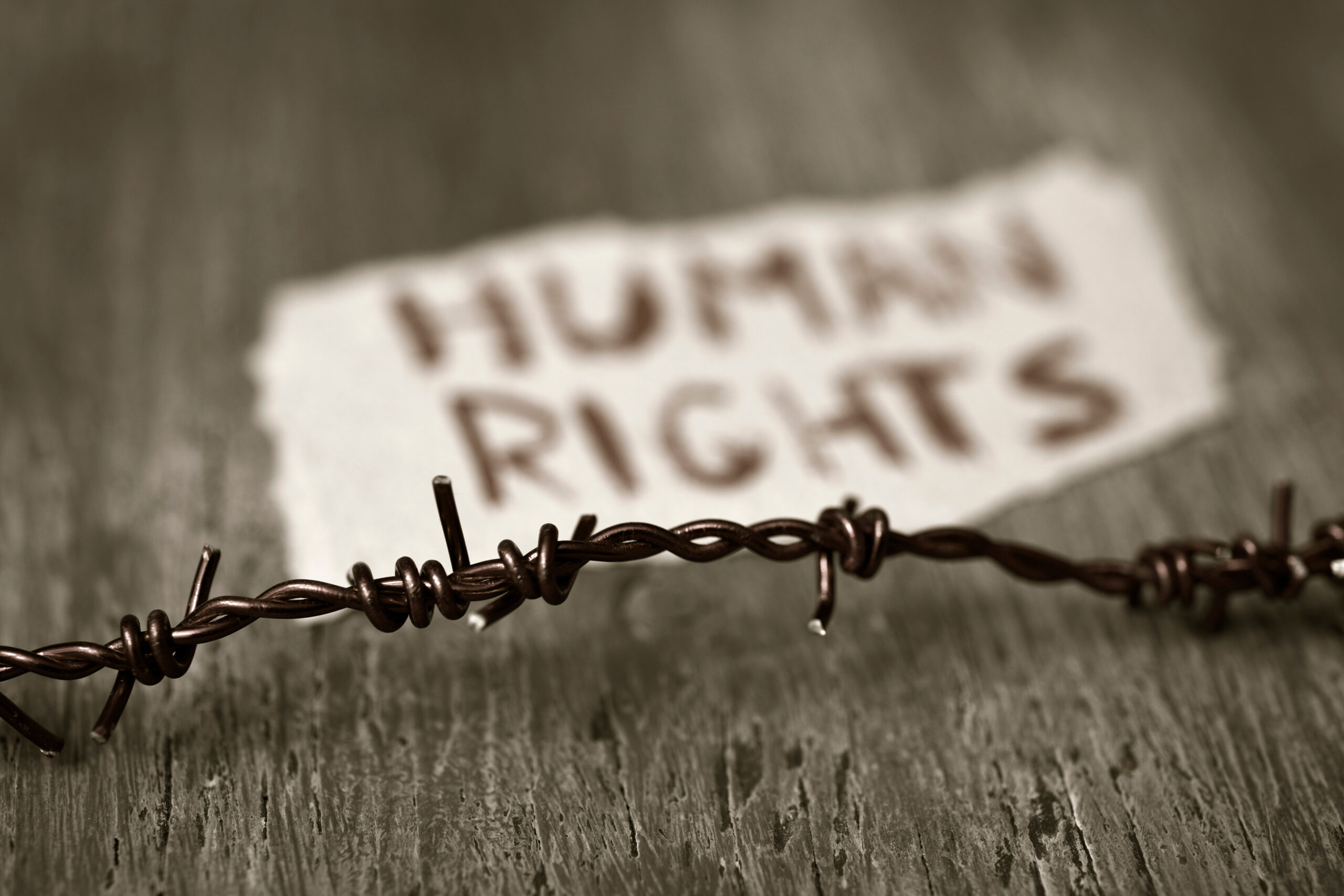 Мониторинг преследований прав человека в России: дайджест за 7 – 13 ноября